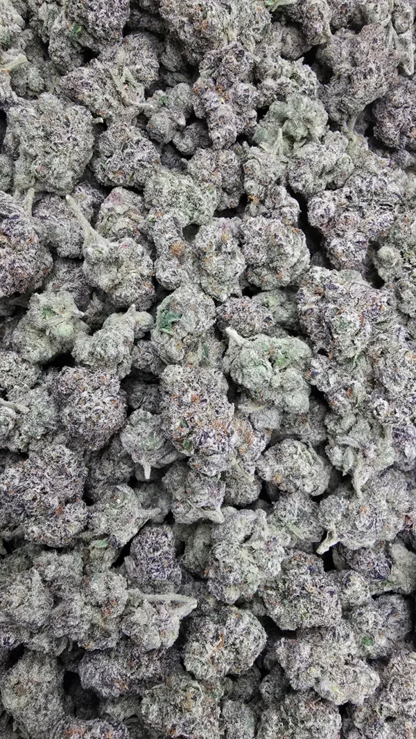Blue Nerdz - (Small Batch) - Image 3